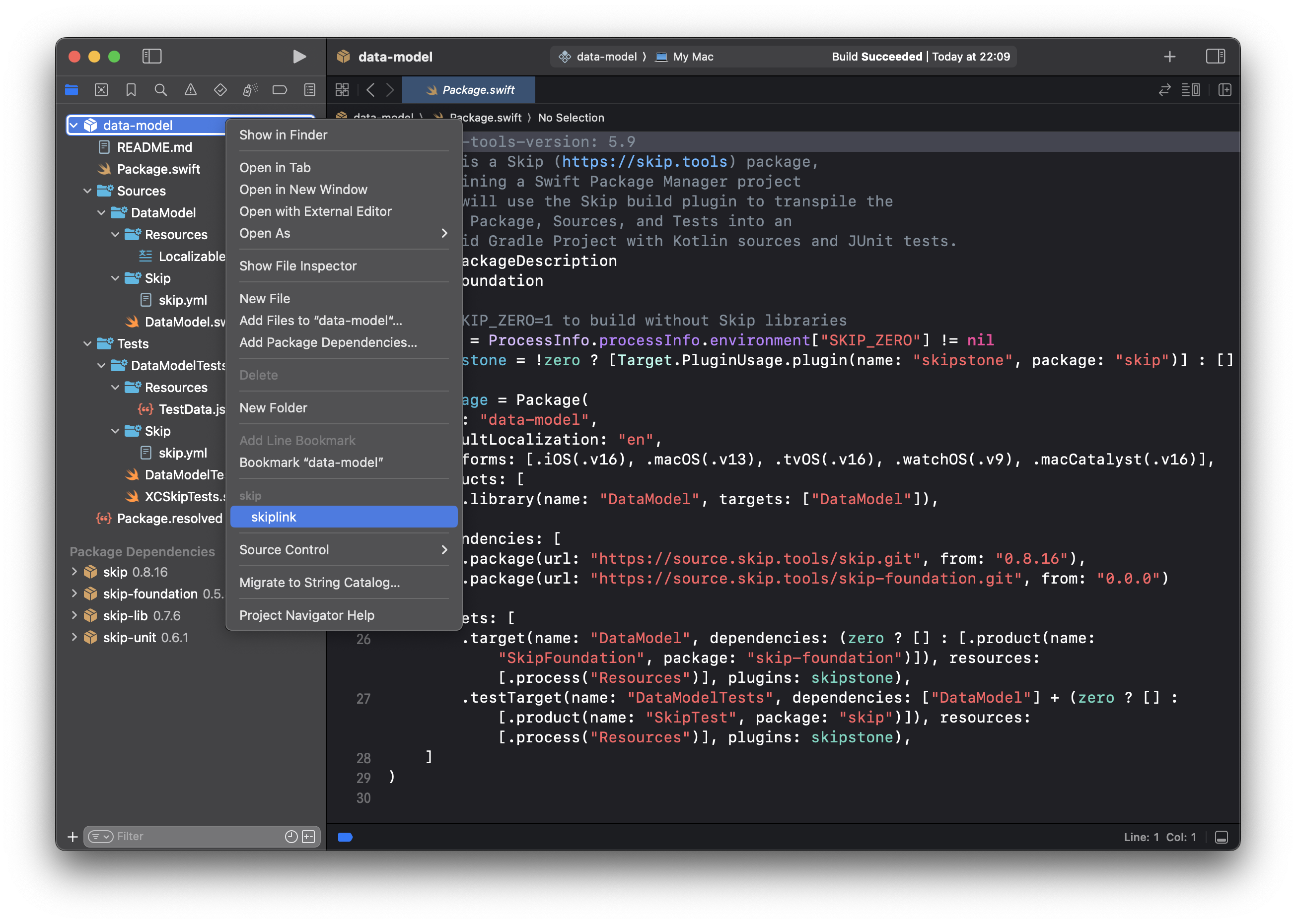 Framework SkipLink Screenshot